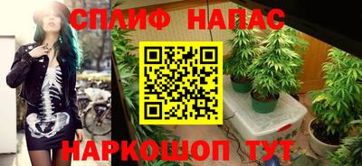 трава Обнинск