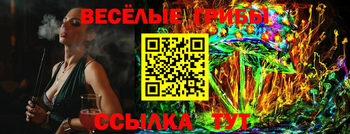 Полевской  Галлюциногенные грибы GOLDEN TEACHER  где продают   Вход с VPN 